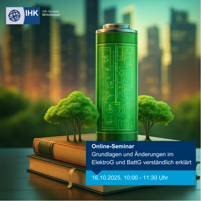 Online-Seminar ElektroG BattG